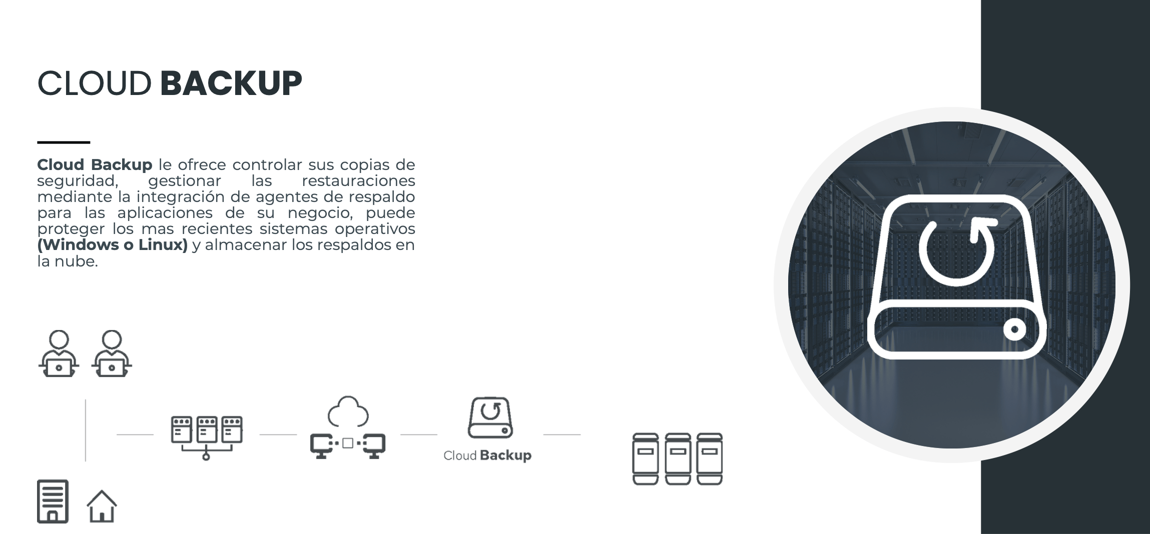 Captura de la presentación de Cloud Backup con copias de seguridad y restauración en la nube.